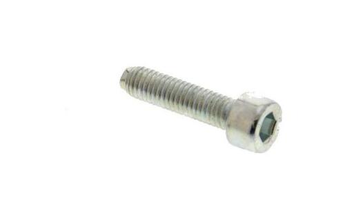 Allen Screw M5x15 00002052051