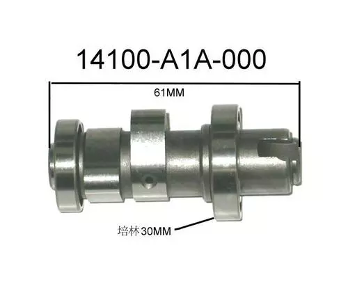 Cam Shaft Complete 14100-A1A-000