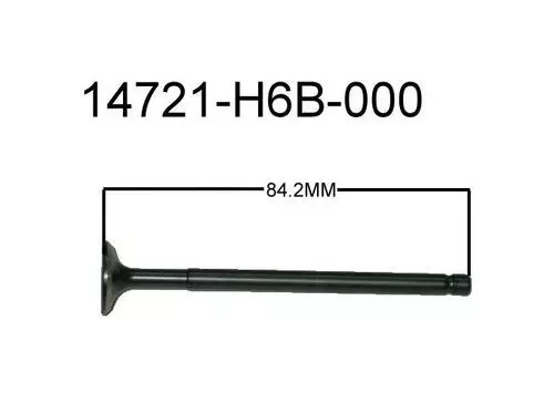 Exhaust Valve 14721-H6B-000