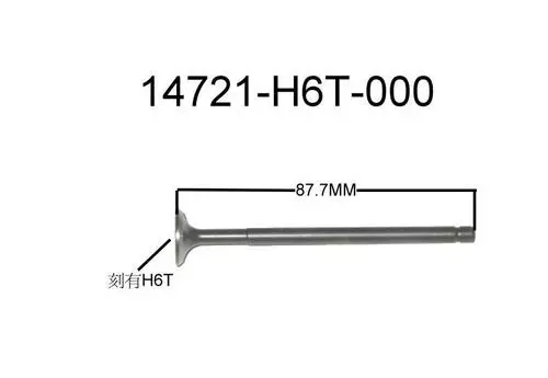 Exhaust Valve 14721-H6T-000