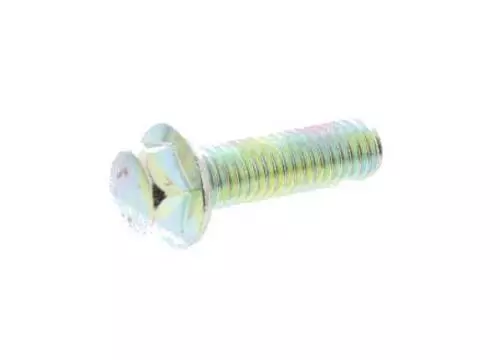 Flanged Screw M6x20 1A000351