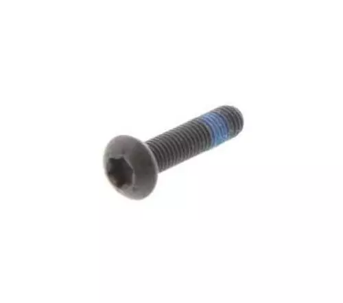 Convex Head Screw Torx Imprint 1A004148