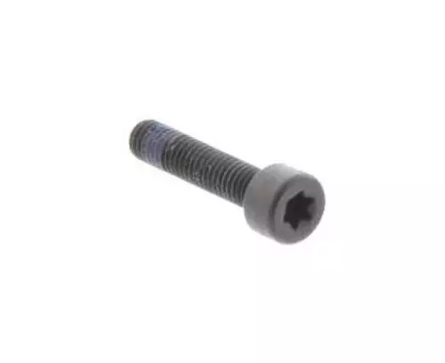 Cylindrical Head Screw Torx Imprint 1A004149