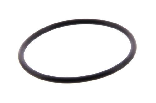 Fuel Pump Gasket 1B002953