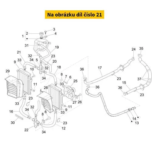 Hose (Radiator Rh-Upper Side) 1B003455