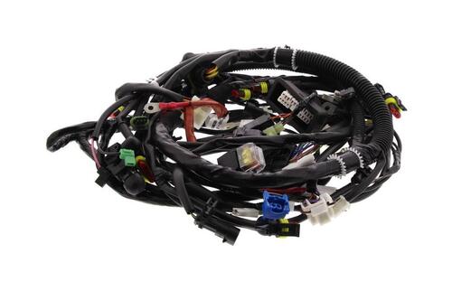 Wiring Harness Of Chassis 1D001850