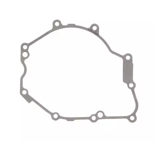 Gasket, Crankcase 2C0154510100