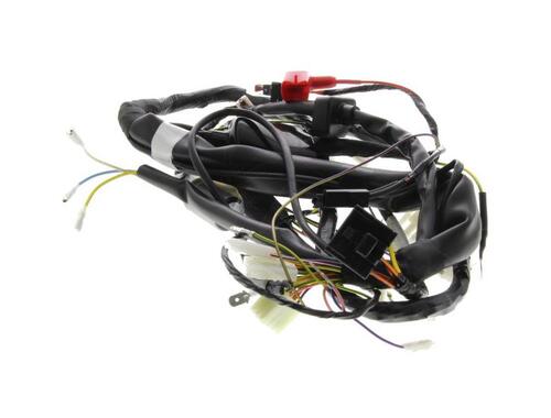 Cable Harness 2D0000415