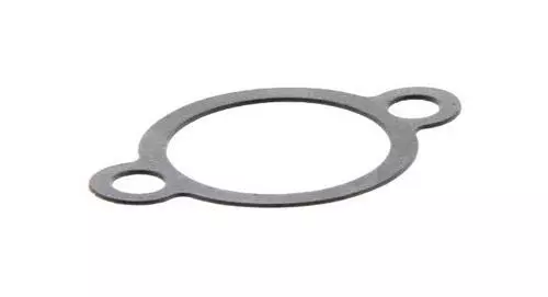 Gasket, Tensioner Case 30X122130000