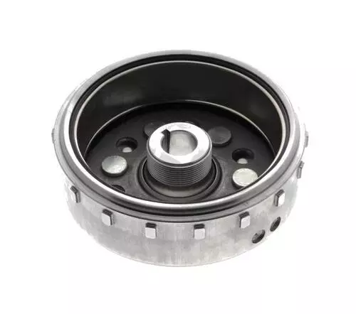 Flywheel Comp 31110-L6C-010