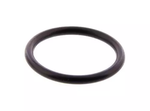 O-Ring 43F231881000