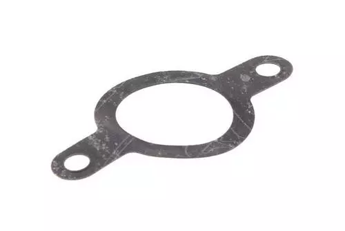 Gasket, Manifold 4H7135560100