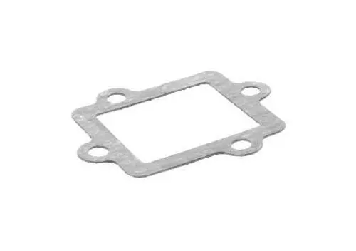 Gasket, Valve Seat 4SCE36210000