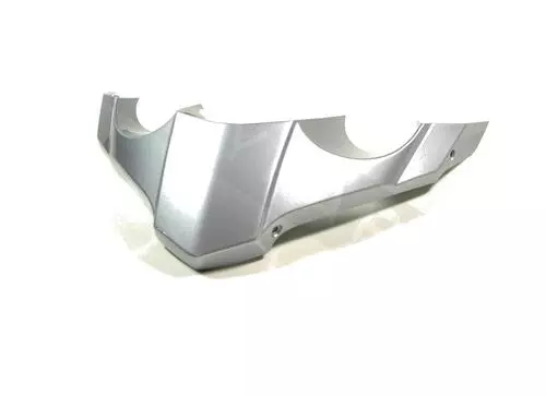 Lower Shield Closure Excalibur Grey 738 65341800F2