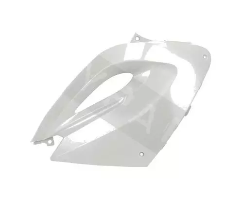 Left Shield Lateral Cover Unpainted 653419