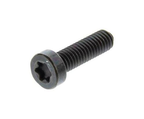 Screw Cx M6x1.00-20 774715