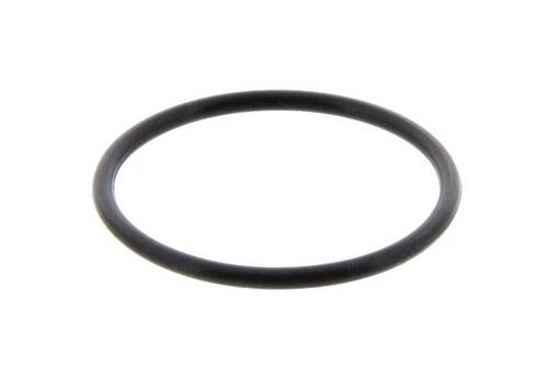 O-Ring 781056