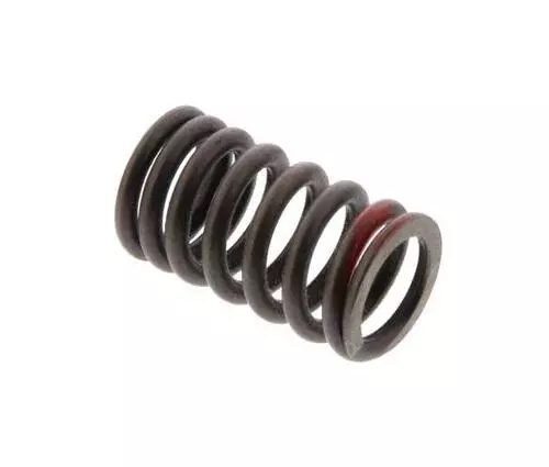 Valve Spring 802116