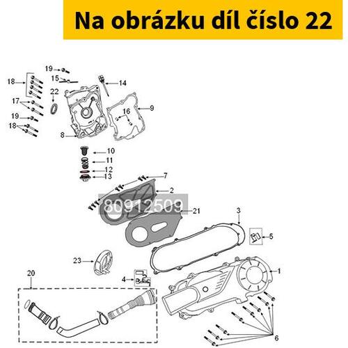 Oil Seal 19,8-30-5 802148