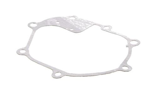 Crankcase Gasket 803294