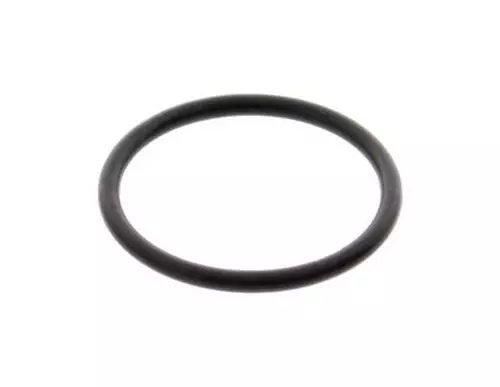 O-Ring 828570