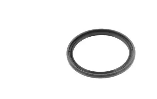 Seal Ring 844806