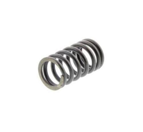 Valve Spring 845951