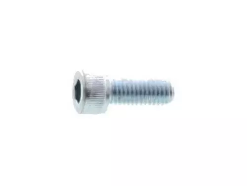 Bolt 9131L0802000