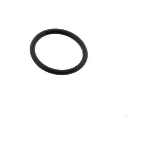 O-Ring 9321013X0100