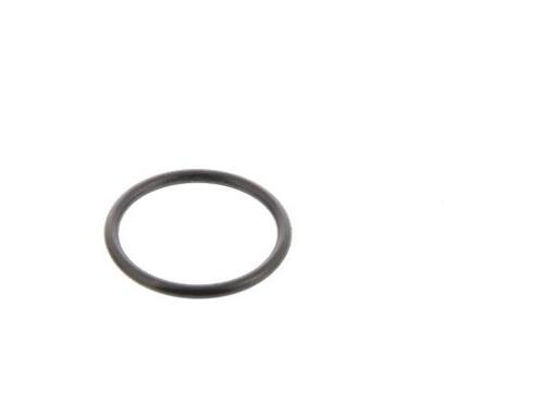 O-Ring (6g5) 932101839700