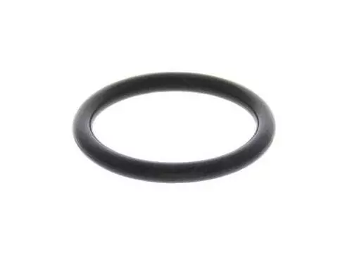 O-Ring 932102119000