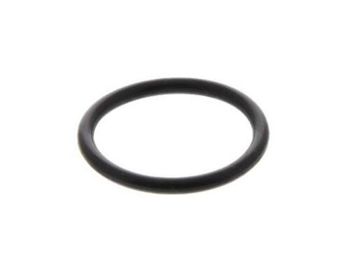 O-Ring 932102600600