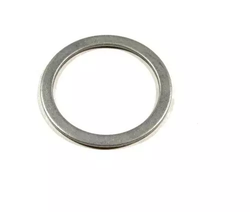 O-Ring 975701