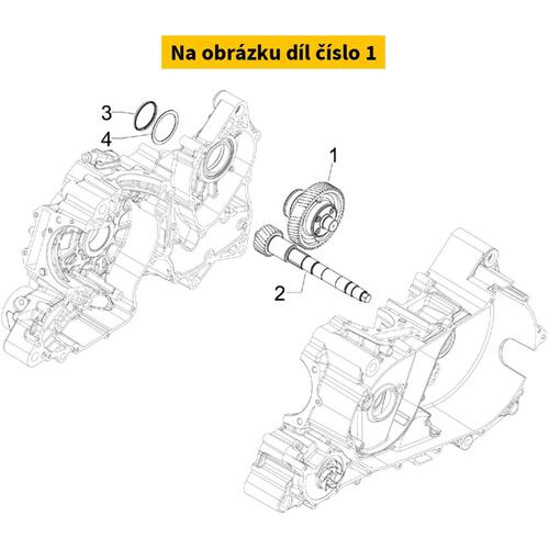 Gear Wheel B013222