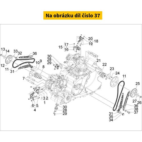 Special Screw B013446