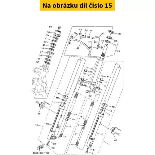 FRONT FORK ASSY (R.H) BW5F31030000