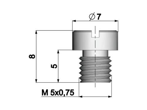 Tryska M5 Dellorto -- 62