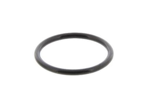 O-Ring(1kt) 932102777800