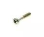 Screw 015650