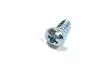 Self Tapping Head Screw 015900