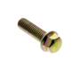 Screw Emb D10 H M6x1-20 1170655994