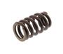 Valve Spring 1178524000