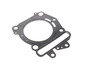 Cylinder Head Gasket 1178599600