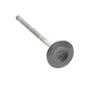 Exhaust Valve 14721-F8A-000