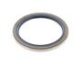 Oil Seal 174363