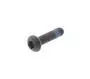 Convex Head Screw Torx Imprint 1A004148