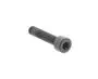 Cylindrical Head Screw Torx Imprint 1A004149