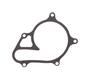 Pump Gasket 1A013510