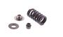 Exhaust Valve Spring Kit Sch. With Caps 2R000042