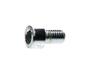 Screw M6x10 319446